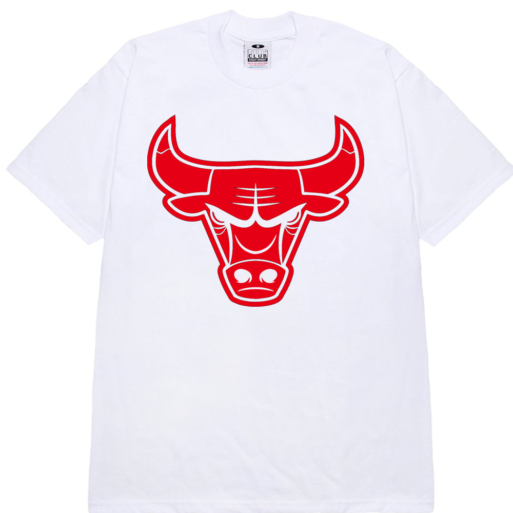 Red Bulls image 1
