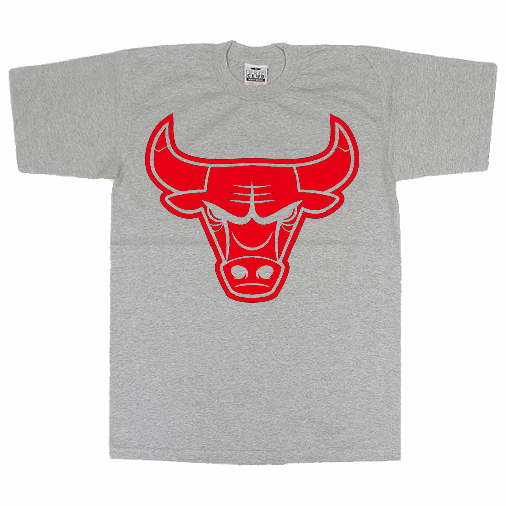 Red Bulls image 2