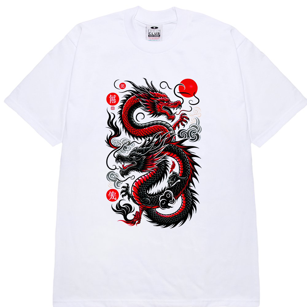 DRAGON V23